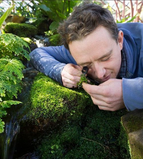 Royal Botanic Garden Sydney Botanist Dr Matt Renner.