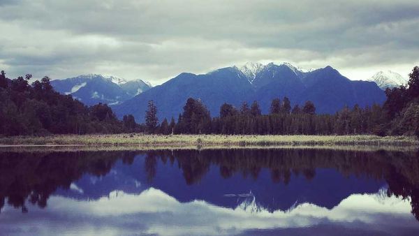 Fox Glacier