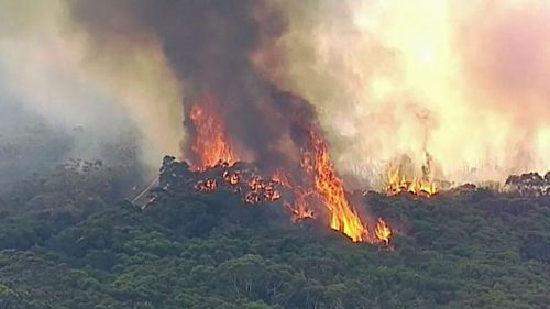 Residents in Sydney's south and the NSW South Coast are being warned to expect smoke for some time. (9NEWS)