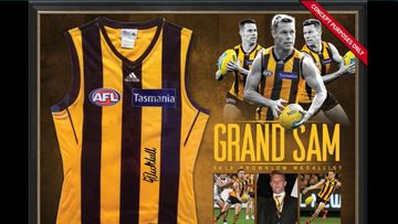 The Sam Mitchell Brownlow jersey was for sale on the AFL's online store.