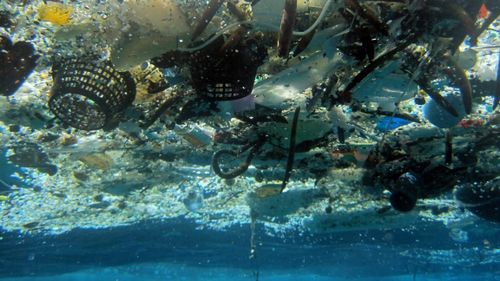 More plastic than fish in the world's oceans by 2050: report