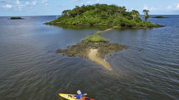 Associated Press reporter Richard Lardner kayaks to Sweetheart Island, off the coast of Yankeetown, Florida, on August 5, 2023. Patrick Parker Walsh is serving five and half years in federal prison for stealing nearly $8 million in federal COVID-19 relief funds that he used, in part, to buy the island.