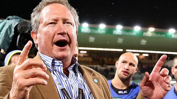 New rugby competition to 'complement' Super Rugby, Forrest says