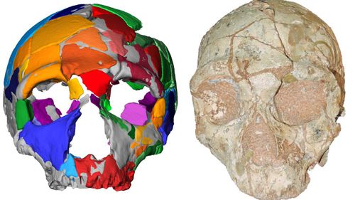 210,000-year-old human skull in Greece is the oldest found outside Africa