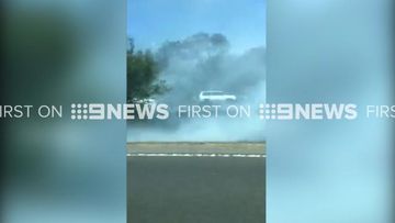 Grassfire burns near Sydney’s M4