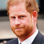 Harry's new US milestone questions royal role