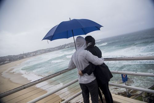 Looking for icebergs at Bondi Beach. Picture: Cade Thompson