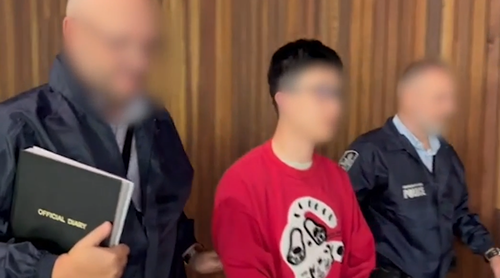 Australia's federal and intelligence officers have charged two more Chinese nationals with foreign interference after they allegedly collected information about a Buddhist association in Canberra. 