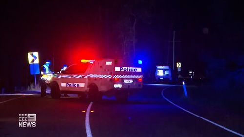 A 17-year-old driver has died after crashing into a pole at Cedar Creek, near Brisbane.