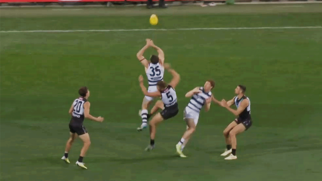 'Warrior' Dangerfield hospitalised by painful blow