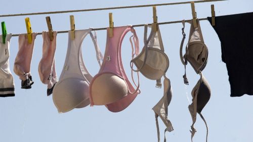 Man arrested with a ‘plethora’ of women’s underwear in Melbourne’s north