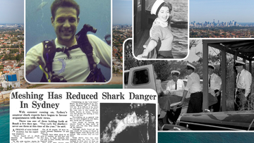 Shark attacks in Sydney are rare - but they do happen.