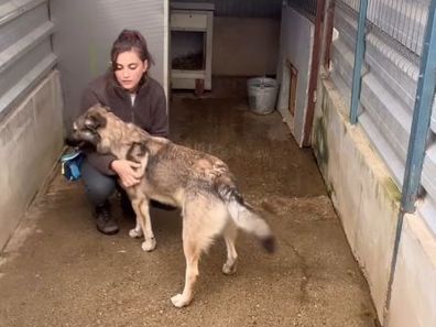 Amelia Steele dog trainer