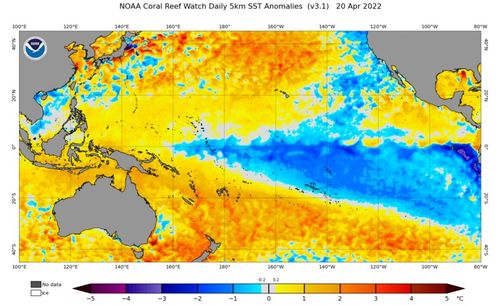Current sea surface temperature anomalies in the Pacific Ocean, showing a distinctive La Niña pattern with cooler-than-average water in the central and eastern equatorial Pacific Ocean and warmer-than-average water in the western equatorial Pacific Ocean. 