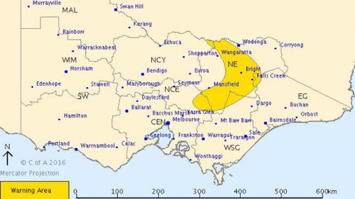 Severe thunderstorm warning issued for Bright, Mount Hotham, Falls Creek and Mount Buller