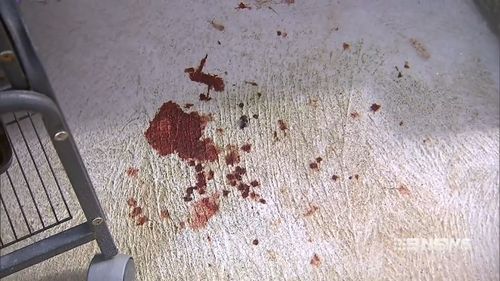 The 11-year-old dog was found covered in blood.