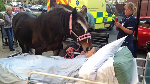 Grandmother dies day after emotional hospital farewell with horses