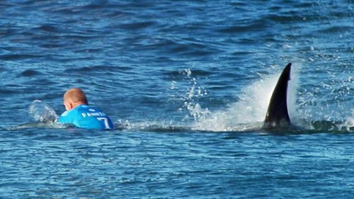 Fanning's famous encounter with a shark in South Africa. 