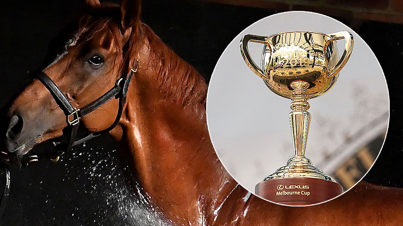 Melbourne Cup 2019 tips from Channel Nine's sports stars, experts and celebs