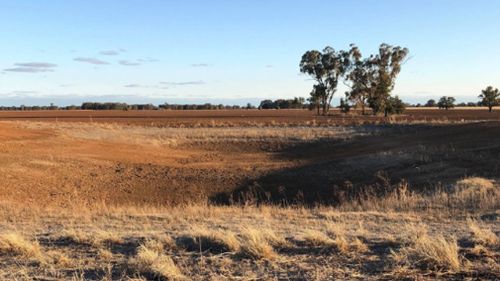 An empty dam on Ms Grech's parched farm.