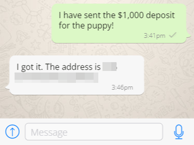 A mock-up of the kind of messages Renee McNab received from the seller. 
