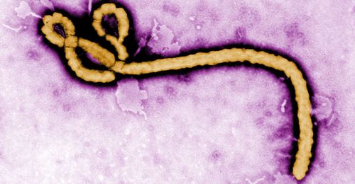 Health worker in ACT cleared of Ebola after second test