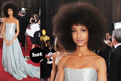 Who cares about the frock? That hair is the best thing at this year's Oscars. (And the frock is very nice too.)<br/><br/>Spoiler alert! <a href="http://yourmovies.com.au/article/oscars2012/8425037/oscars-2012-moviefixs-live-results-blog">Head over to MovieFIX to find out who won...</a>