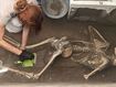 Pompeii archaeologists find bodies of man and woman – and their treasure