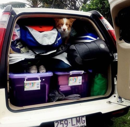 'Bring on the cold' Ms Walker posted as she packed up her life on the Sunshine Coast for her Tasmanian adventure in June 2016.