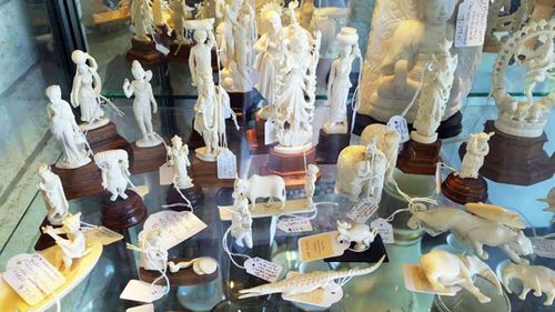 Ivory items for sale, such as this collection at a Gold Coast antique store could soon become illegal if a ban is introduced by the Australian government. Photo: For the Love of Wildlife.