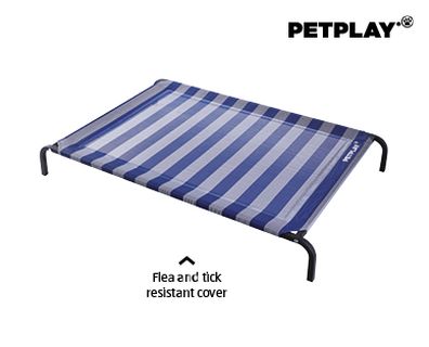 Elevated Pet Bed from Aldi.