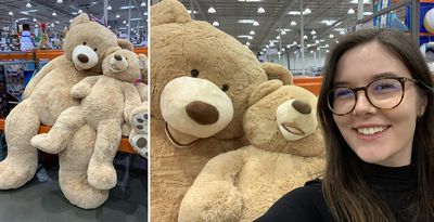 Giant teddy bears