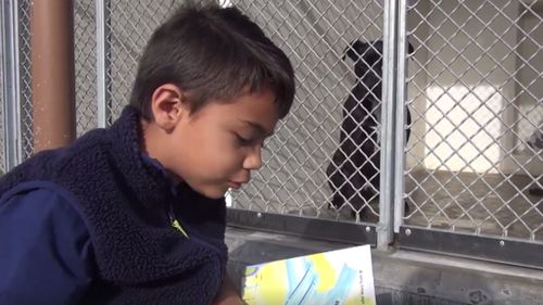 A six-year-old boy visits an animal shelter to read books to the dogs. (Saving Carson Shelter Dogs)