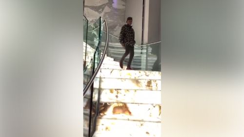 Tyga also walked down Salim Mehajer's famous glowing marble staircase. 
