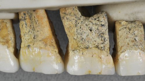 Callao Cave teeth new human species.