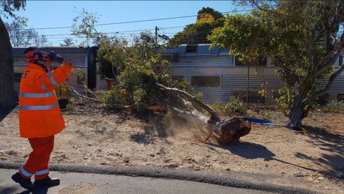 Services have now begun to return to normal. (NSW Police)