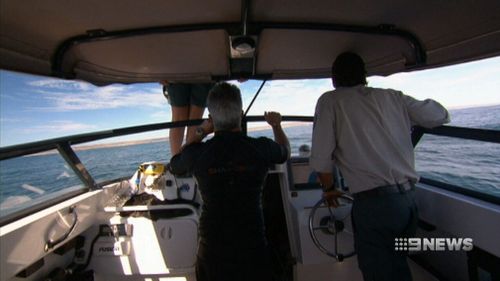 WA scientist Brad Norman and his team are studying whale sharks using NASA technology. (9NEWS)