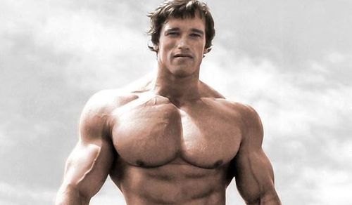 Schwarzenegger was a bodybuilding star before turning to movies. 