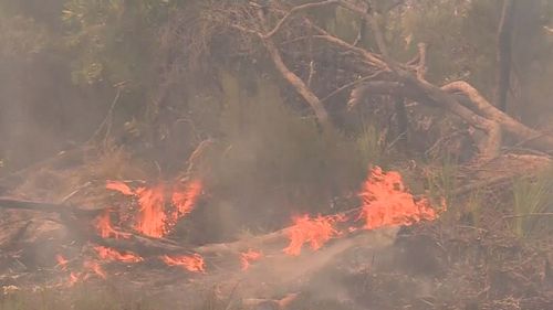 Total fire bans have been declared for 13 districts across the state. (9NEWS)