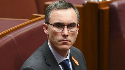 Independent Senator Tim Storer wants US-style confirmation hearings under a radical proposal to stop political interference. 