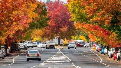 9.  Central NSW