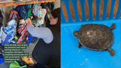 Left; teacher reaching inside backpack, Right: Turtle crawling inside plastic container