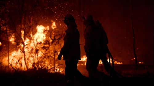 The NSW South Coast was ravaged by bushfires earlier this year.