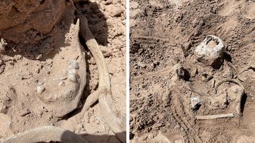 These photos of Saturday, May 7, 2022, provided by Lindsey Melvin of Henderson, Nev., shows human remains she and her sister discovered on a sandbar that recently surfaced as Lake Mead recedes. A closer look revealed a human jaw with teeth. The National Park Service confirmed in a statement that the bones are human. (Lindsey Melvin via AP)