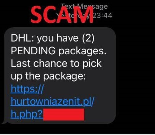 New flubot scam text message