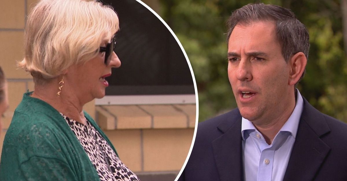 'Deeply scared' woman interrupts treasurer's press conference with plea