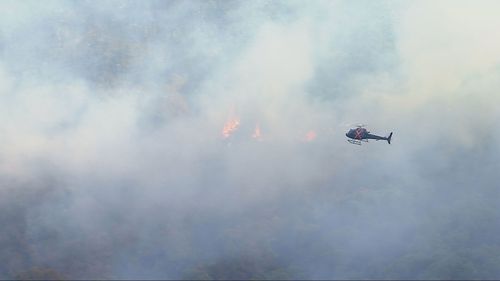 Moreton Island bushfire