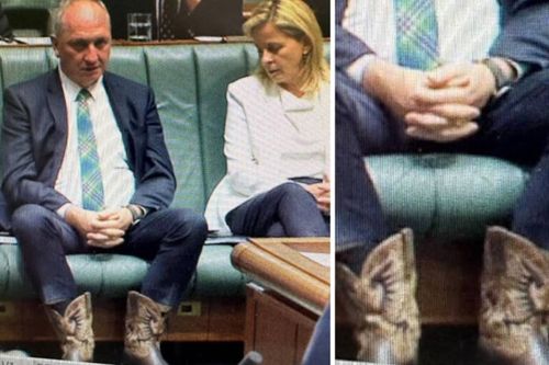 Angie Bell questions Barnaby Joyce's boot choice
