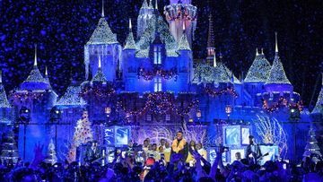 The Newmans never made it to Disneyland. Photo: Getty Images
