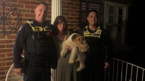 Allegedly stolen therapy dog returned to owner on Christmas Day.